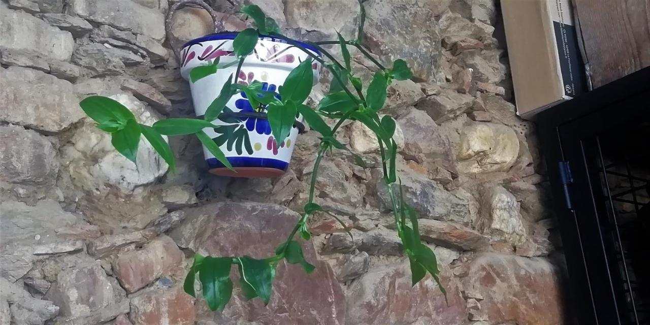 Casa Rural Abuela Maxi Ríolobos Dış mekan fotoğraf